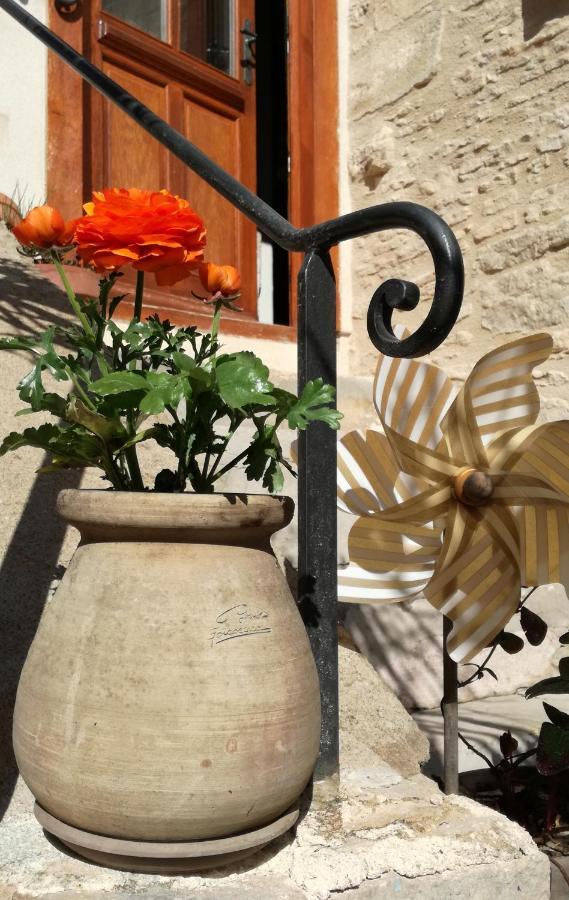 L'Antre Ami Bed & Breakfast Savigny-lès-Beaune Dış mekan fotoğraf